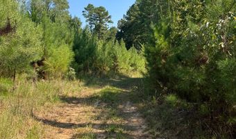0 Nick Creek Rd, Bernice, LA 71222