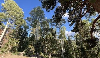 Ponderosa West Village, Beaver, UT 84713
