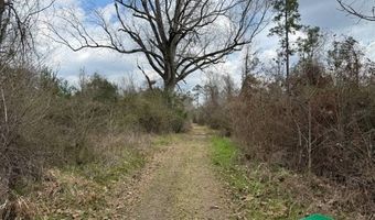 W Factory St, Amite, LA 70422