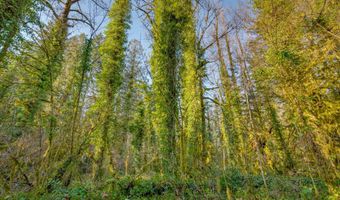 64281 E BRIGHTWOOD LOOP Rd, Brightwood, OR 97011