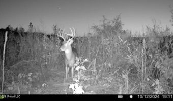 Ms-25, Brandon, MS 39047