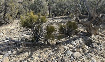 County Road 2550, Aztec, NM 87410