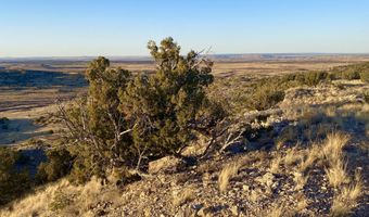 Tbd Co Rd 5062 2.39 Acres, Concho, AZ 85924