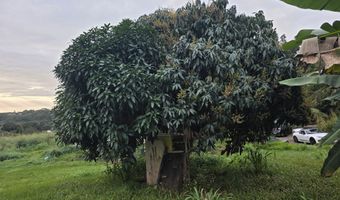 6469- L KAWAIHAU Rd, Kapaa, HI 96746