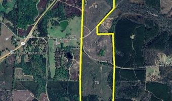 5000 County Road 53, Banks, AL 36005