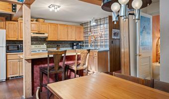 217 W Bleeker St, Aspen, CO 81611