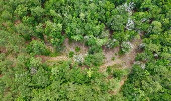 Fox Paw Court, Branchville, SC 29432