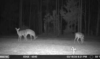 Highway 28, Abbeville, SC 29620