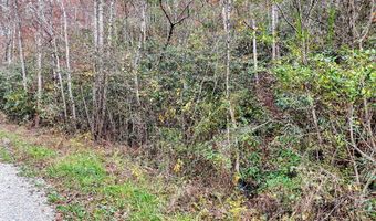 135 49ac Webb Creek Rd, Andrews, NC 28901