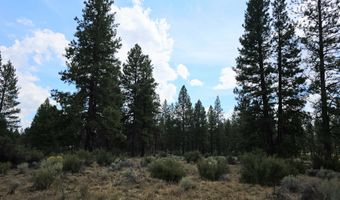 Swan Drive 16 & 17, Bonanza, OR 97623