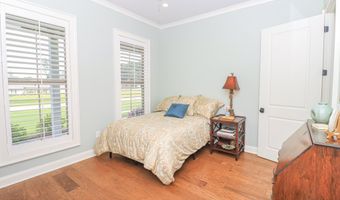 170 Fallen Oak Dr, Brandon, MS 39047