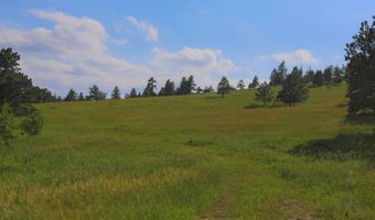 381 OLD CAMP Rd, Bellvue, CO 80512