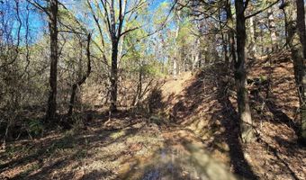 TBD Raw Land, Bates, AR 72958