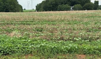 Lot 1 Cowarts Creek Rd, Ashford, AL 36312