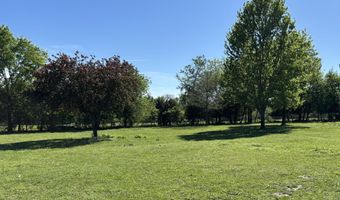 23951 State Highway Z, Ash Grove, MO 65604