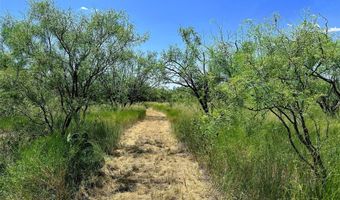 TBD East Tract County Road 356, Anson, TX 79501