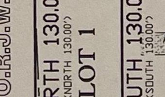 Buffalo St lot 1, Alice, TX 78332