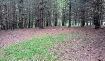 X Green Meadow Lane 5 Ac S, Ararat, NC 27007