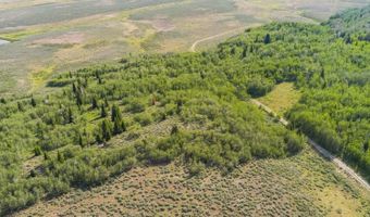 TRACT 14 SPRING HOLLOW ROAD, Daniel, WY 83115