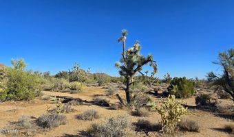 2 B S Cattle Crossing Rd, Yucca, AZ 86438