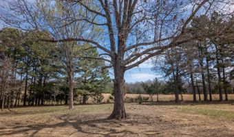838 Indian Trl, Ash Flat, AR 72513