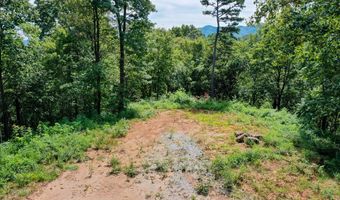 6 Black Rock Trl 6, Andrews, NC 28901