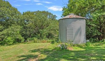 1541 Literberry Triopia Rd, Arenzville, IL 62611