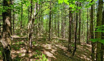 1905 Camp Munn Rd, Bradford, VT 05033