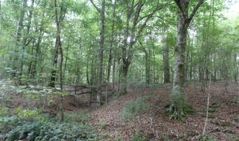 NE Greenhill Trail, Brookhaven, MS 39601