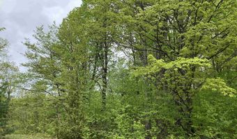 9718 NE FOREST Ln, Alden, MI 49612