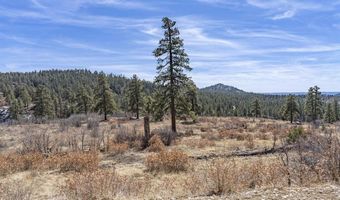 TBD Lot 4 Beaver Creek Ranch Drive, Bayfield, CO 81122