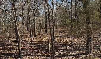 Tract 1 Rural Atoka, Atoka, OK 74525