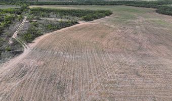 Tract 1 TBD PVT RD 3561, Anson, TX 79501