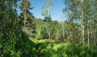 1833 W Buttermilk Rd, Aspen, CO 81611