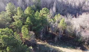 6777 Hwy 207, Anderson, AL 35610