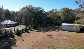 4820 10th St, Bell, FL 32619