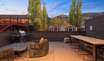 719 E Hopkins Ave 202, Aspen, CO 81611