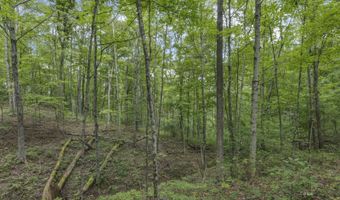 6545 Long Run Rd, Athens, OH 45701