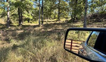 1011 Granny Hollar Rd, Atkins, AR 72823
