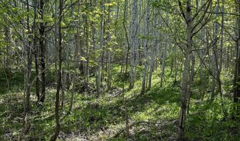 Gratiot River Road lot A, Allouez, MI 49805