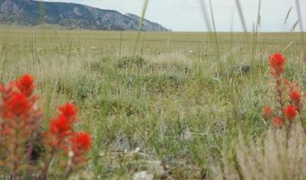 Nhn Broken Trail N 944-19, Belfry, MT 59008