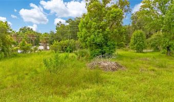 147 E SANDPIPER St, Apopka, FL 32712