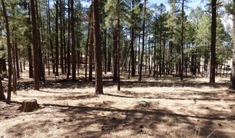 8 B County Road 2267 Escudilla Rd, Alpine, AZ 85920