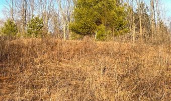 THORN APPLE Drive Lot 6, Wittenberg, WI 54499