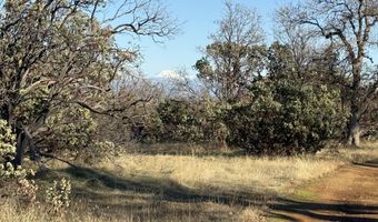 Nippy Lane, Anderson, CA 96007