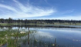 Off-Hicks Road, Bly, OR 97622