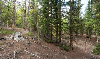 452 QUARTZVILLE Rd, Alma, CO 80420