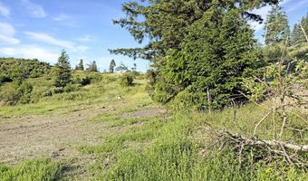 466 GARDNER RIDGE Rd, Brookings, OR 97415
