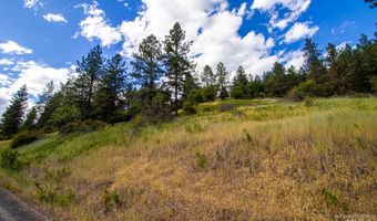 0 Whitetail Dr, Ahsahka, ID 83520