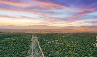 39 Acres Off South Carson Rd, Carson, NM 87517